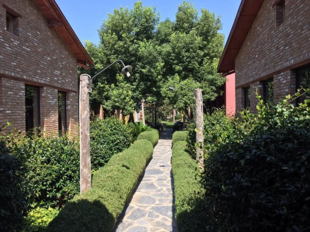 Tas Islerimiz Diana Travel Paloma Hotels 16 